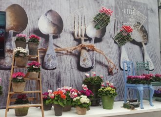 Bianca Zuidgeest Bloemstylist — photo 4