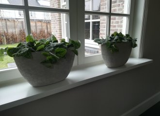 Bianca Zuidgeest Bloemstylist — photo 5