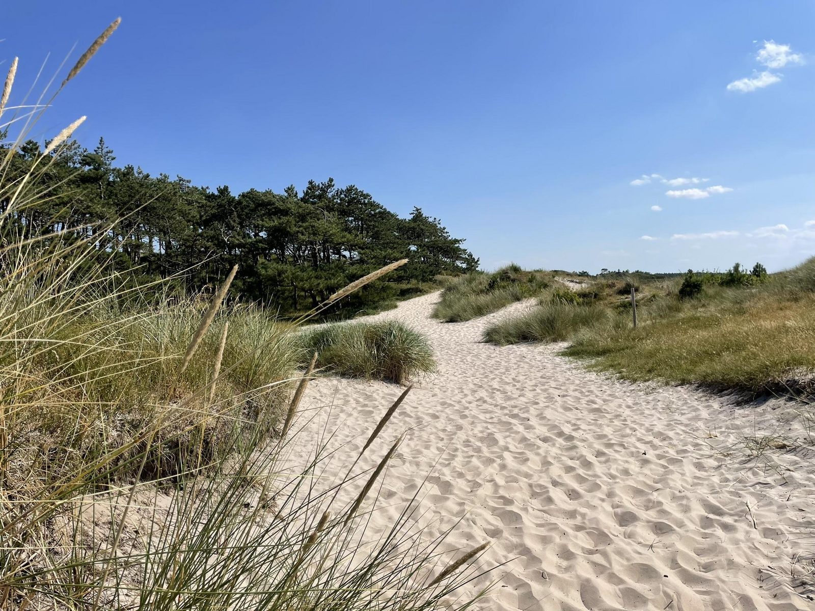 Park Heerehof — foto 4