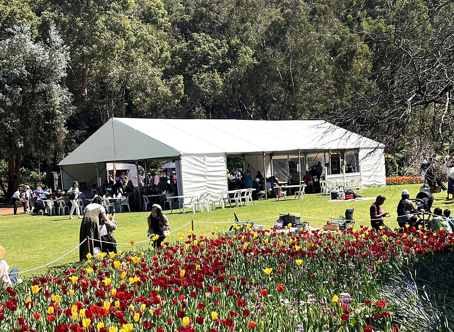 Easy Marquees — photo 2