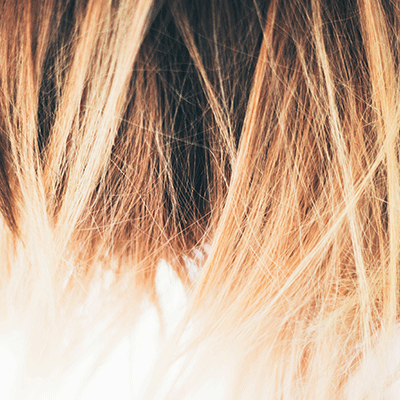 Haar in de wind — photo 3
