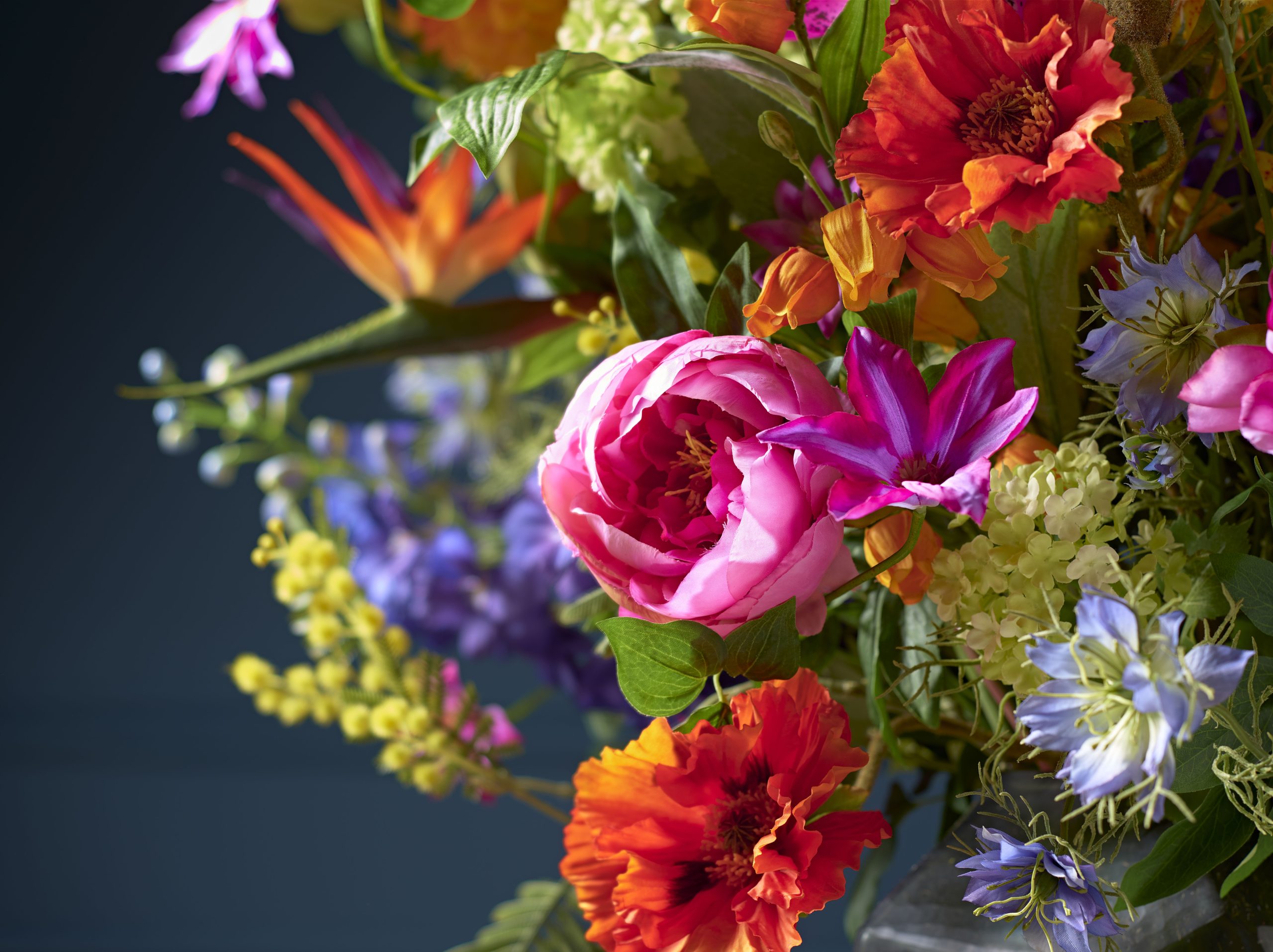 Beers Bloemen — photo 4