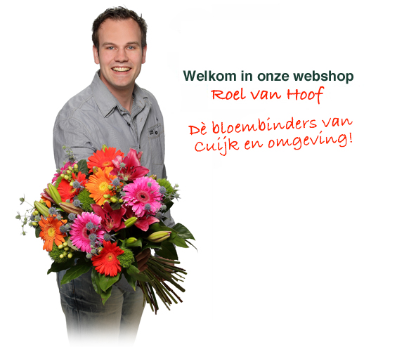 Bloemsierkunst Wilhelmientje — photo 2