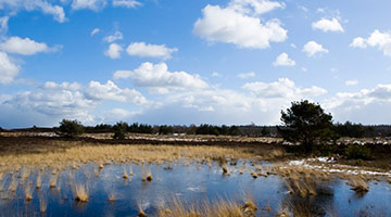 Hampshire Hotel Mooi Veluwe — foto 3