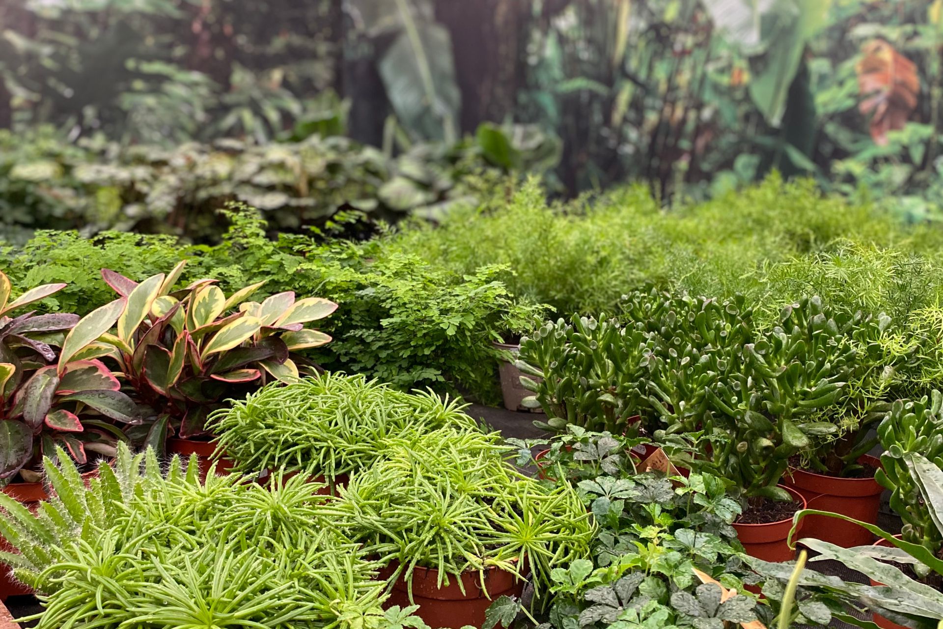 De Bruine Meren — photo 2