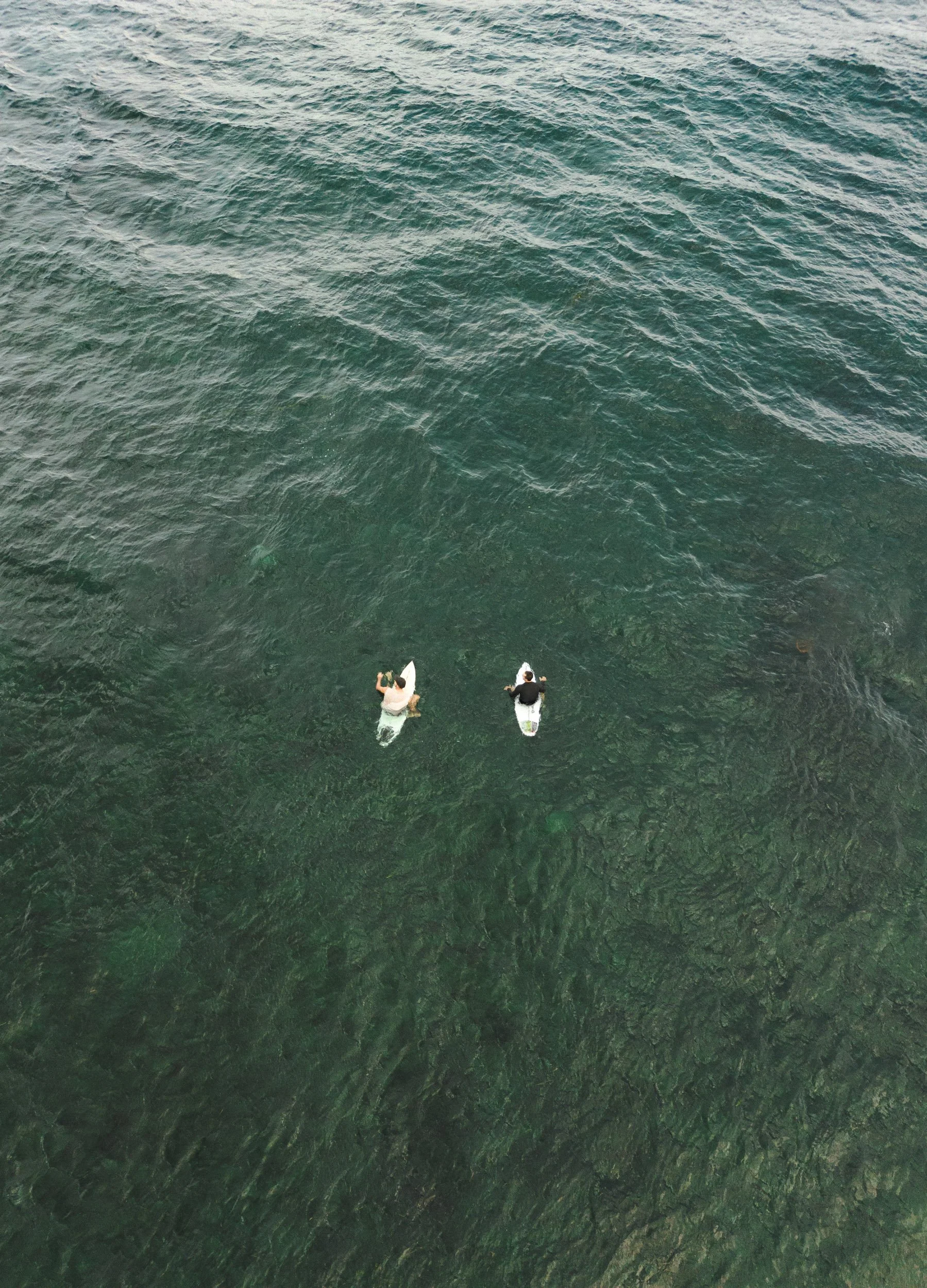 Wild Sol Creatives — photo 3