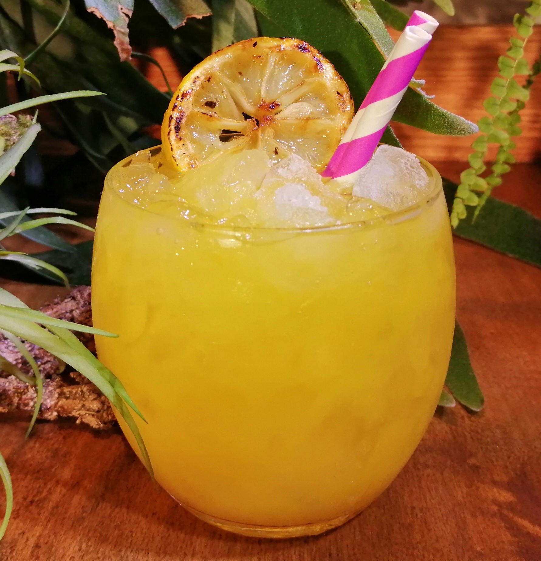 De Cocktail Connaisseur — photo 2