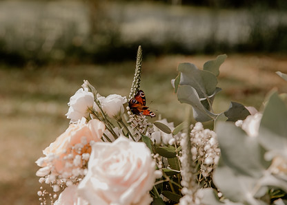 Nelleke Oosterveen Fotografie — photo 4
