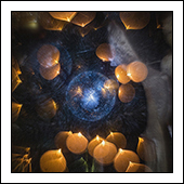 Photodesign Kempes — photo 3