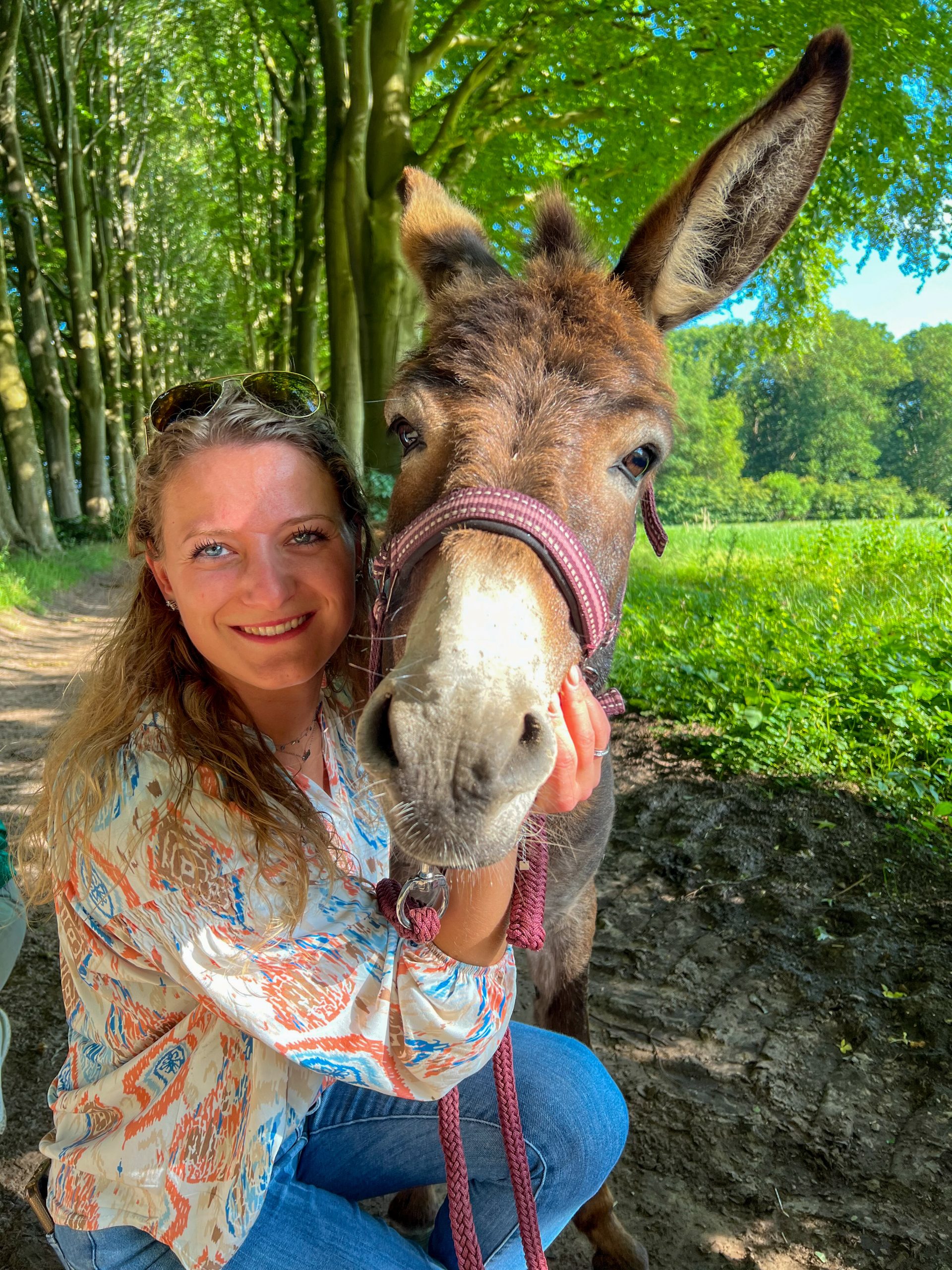 Alpaca Enzo — foto 3