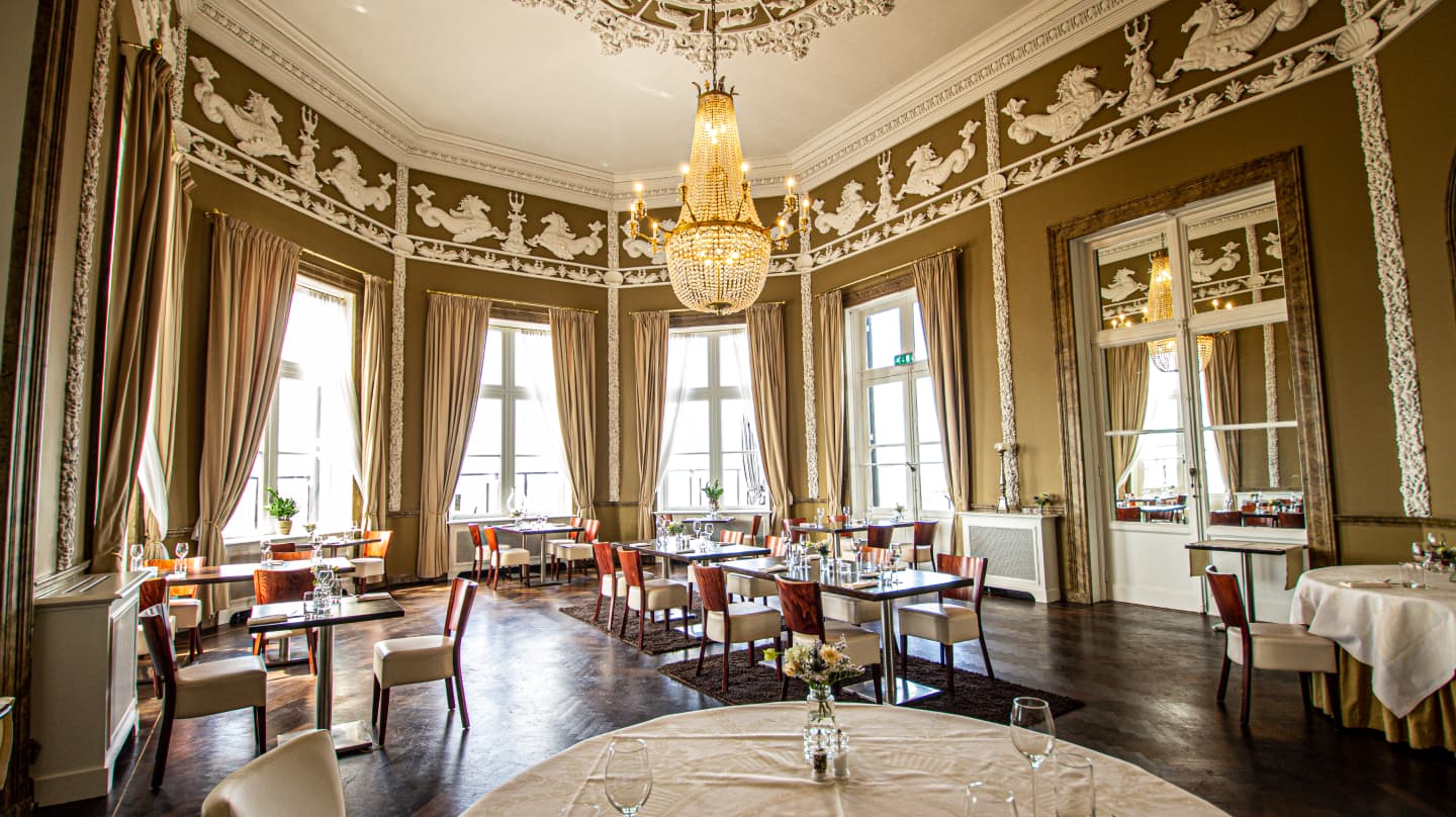 Societeit De Witte — photo 3