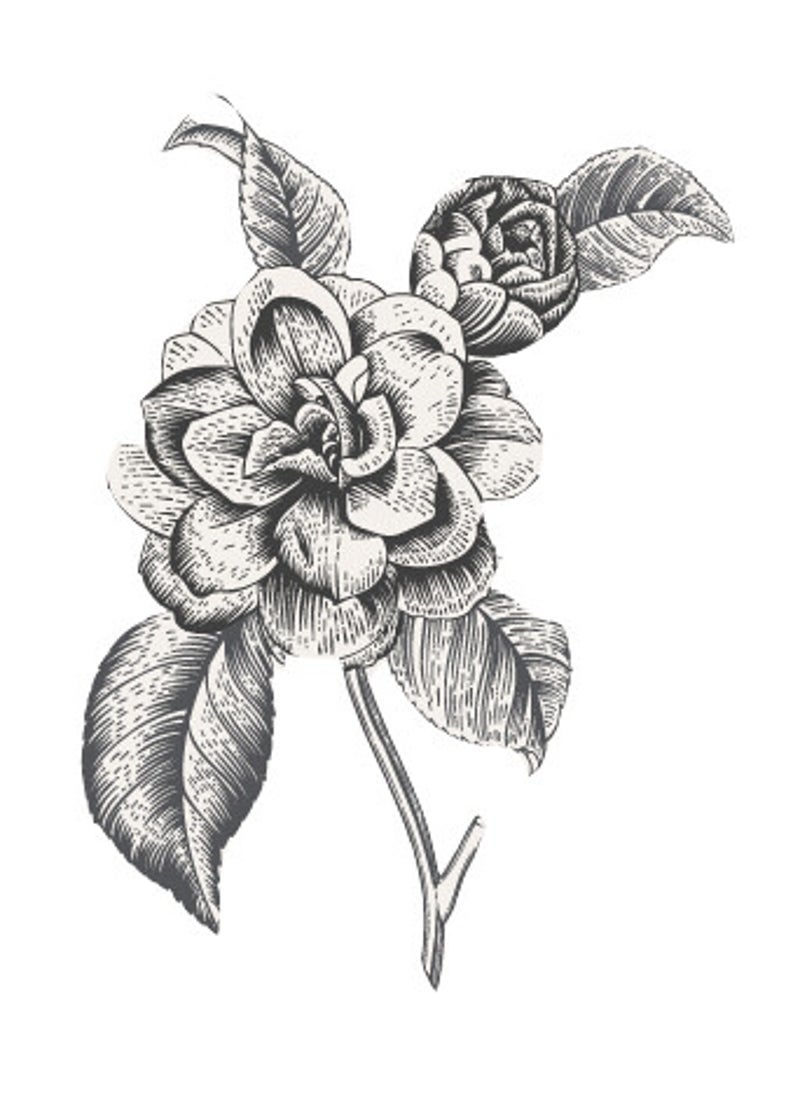 Florabel — photo 2
