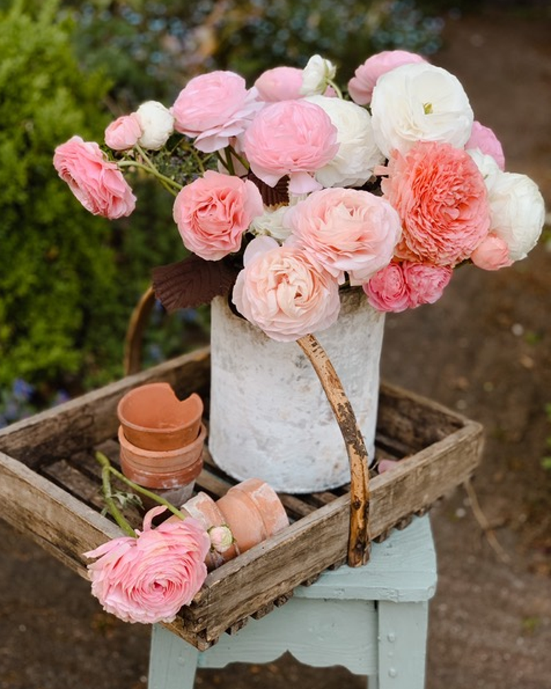 Florabel — photo 4