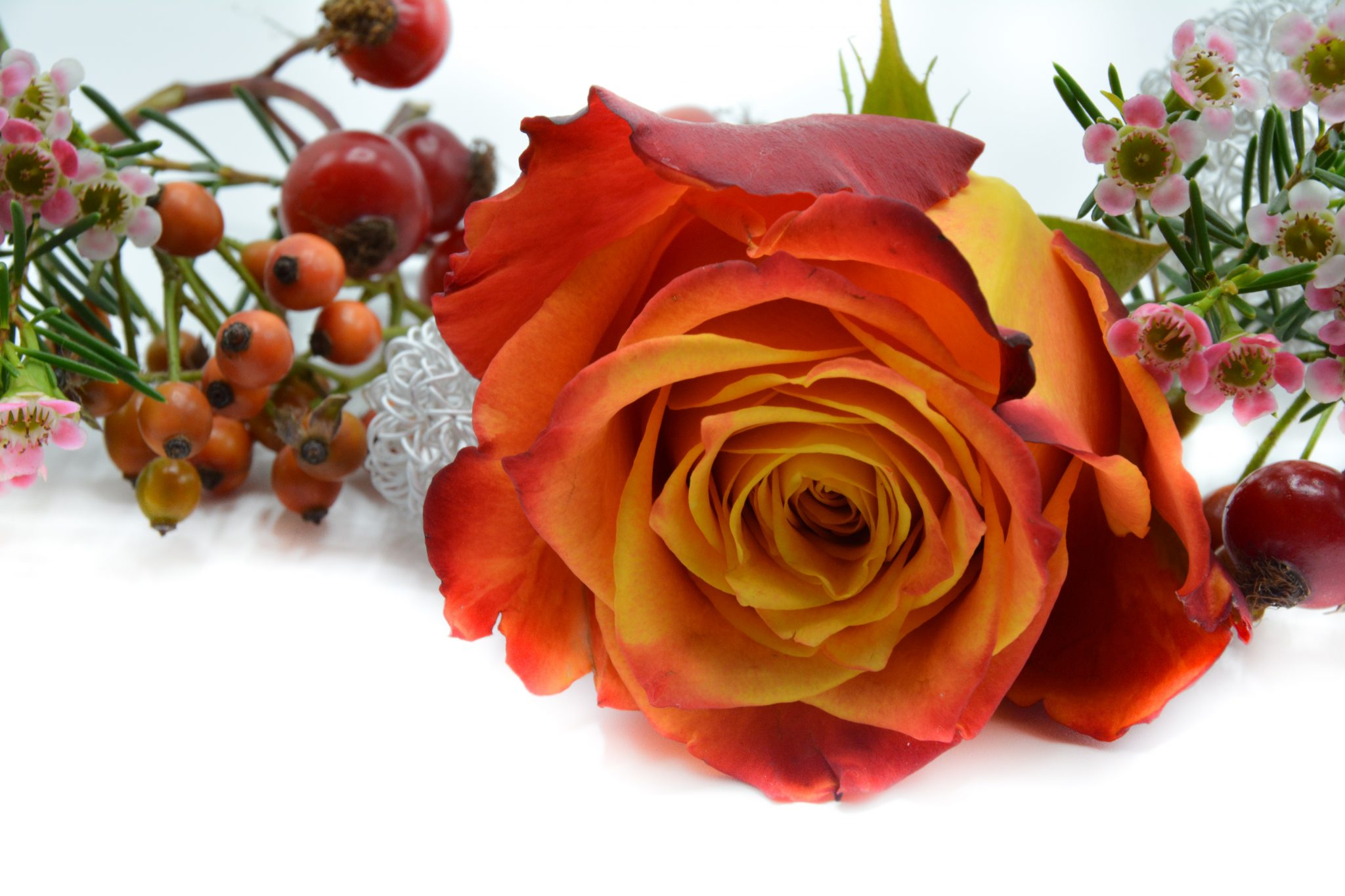 Bloem-en-passie