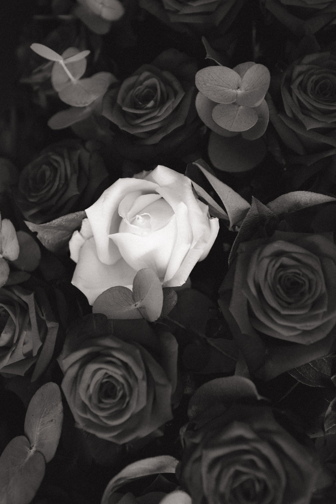 Iris Roos Fotografie — photo 5