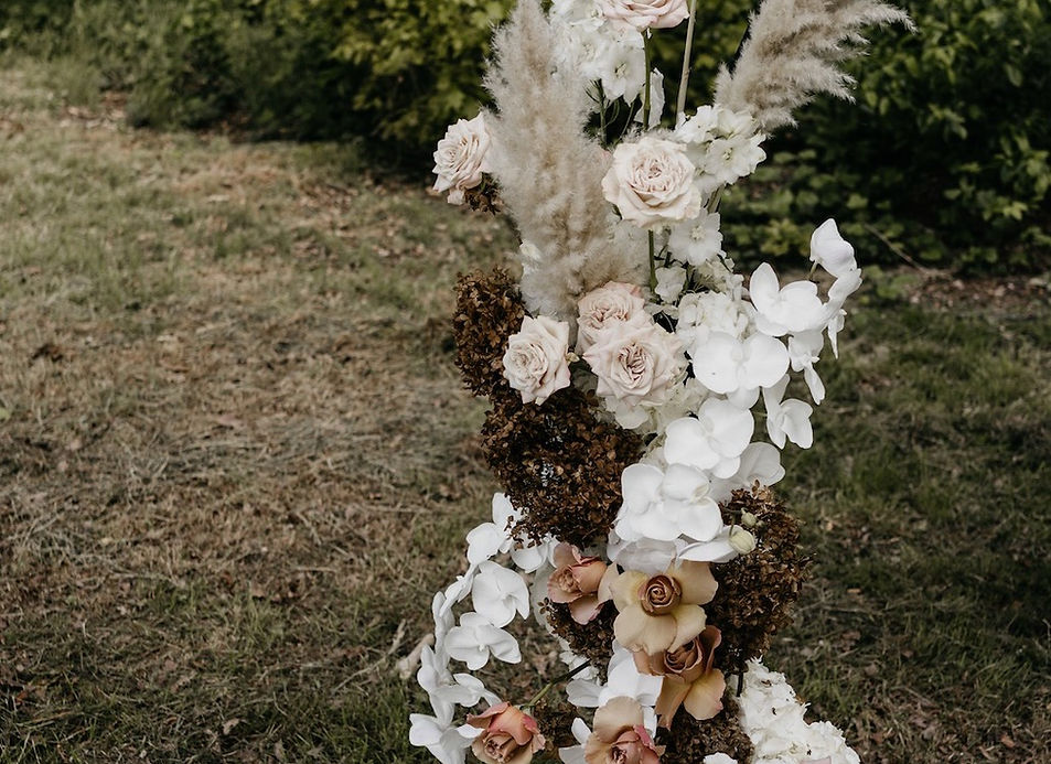 Kamille bloemen — photo 3