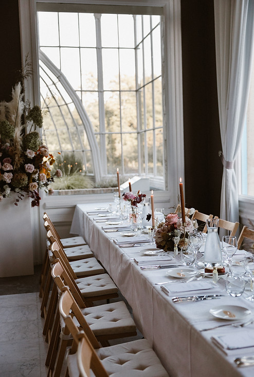 Kamille bloemen — photo 4