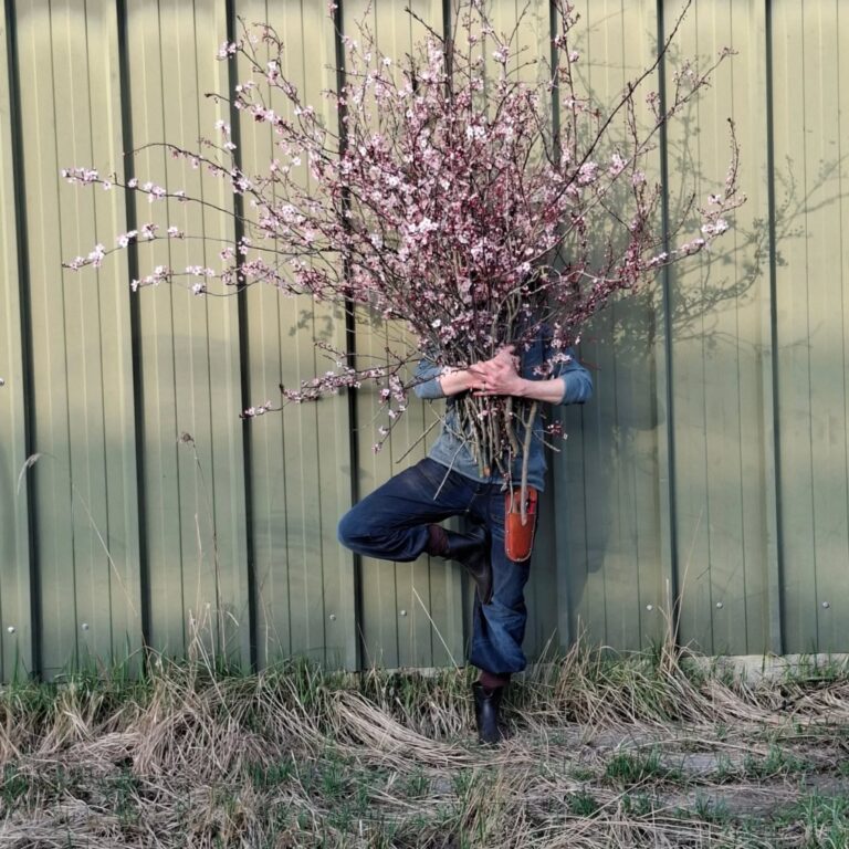 Toma Bloemenservice — photo 3
