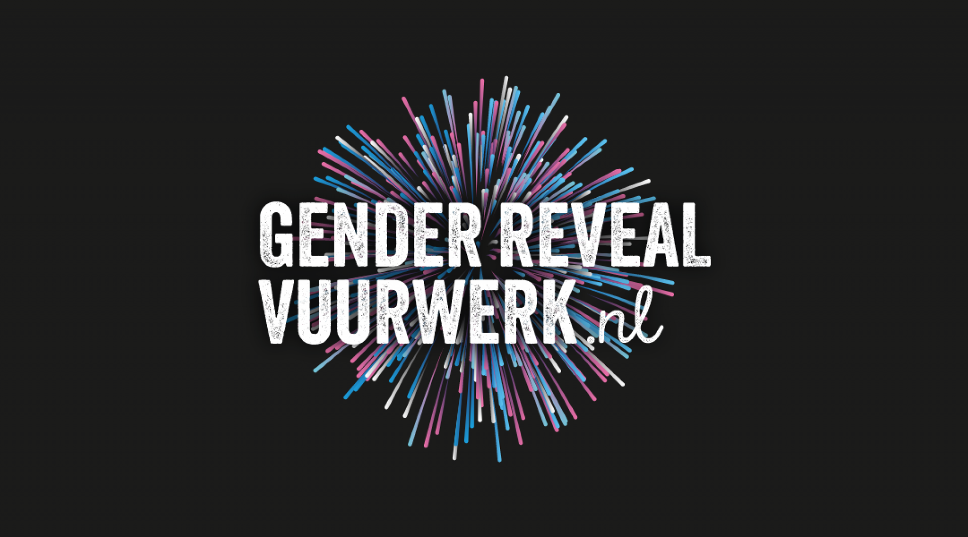 Vuurwerkfeestje.nl — photo 2