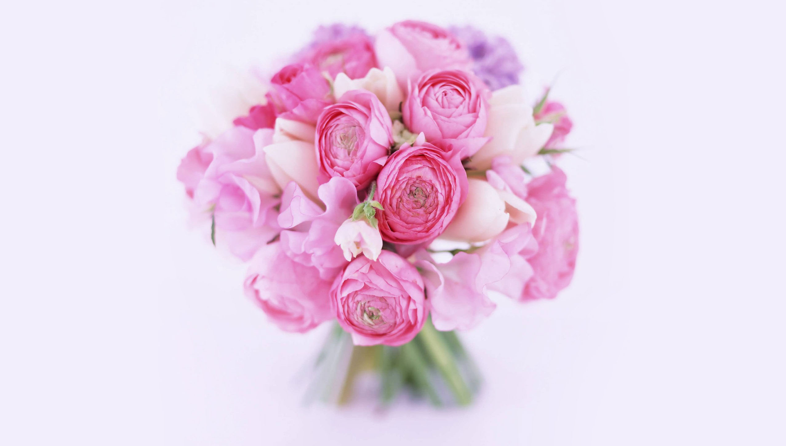 Royal Flower — photo 4