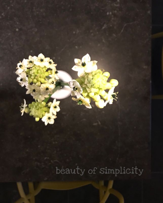 Faas Styling — photo 4