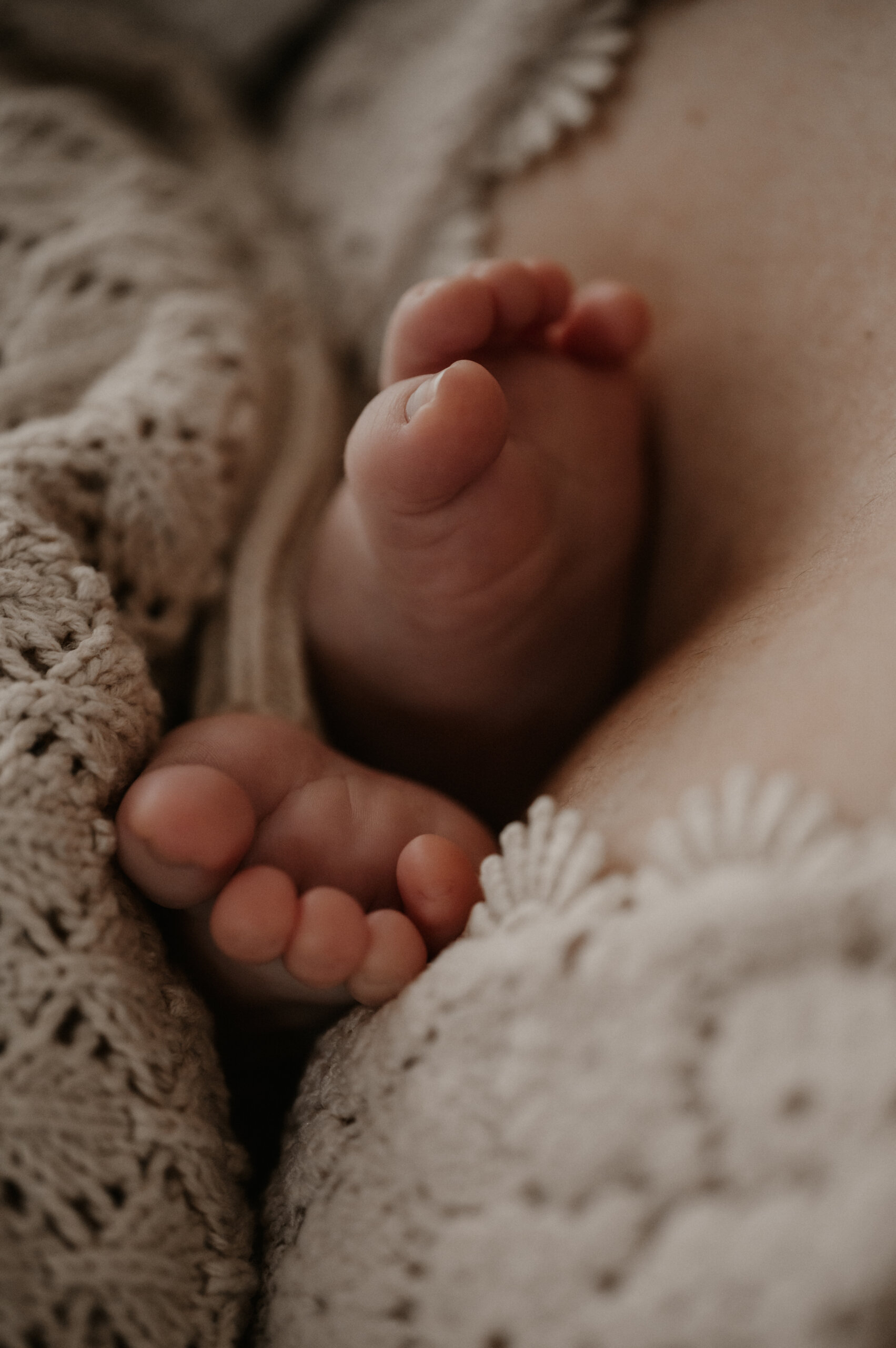 Anna Kuipers Fotografie — photo 5