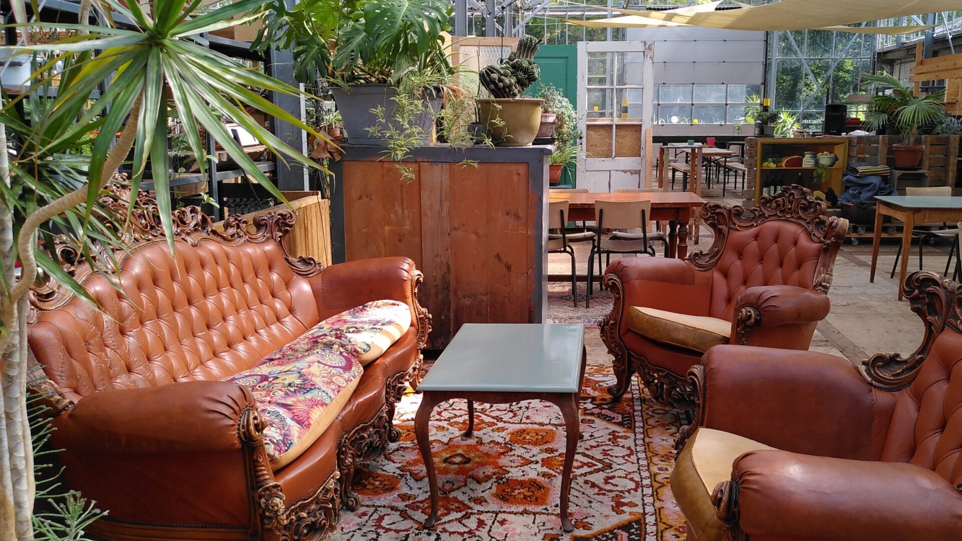 Kweekcafé — photo 2