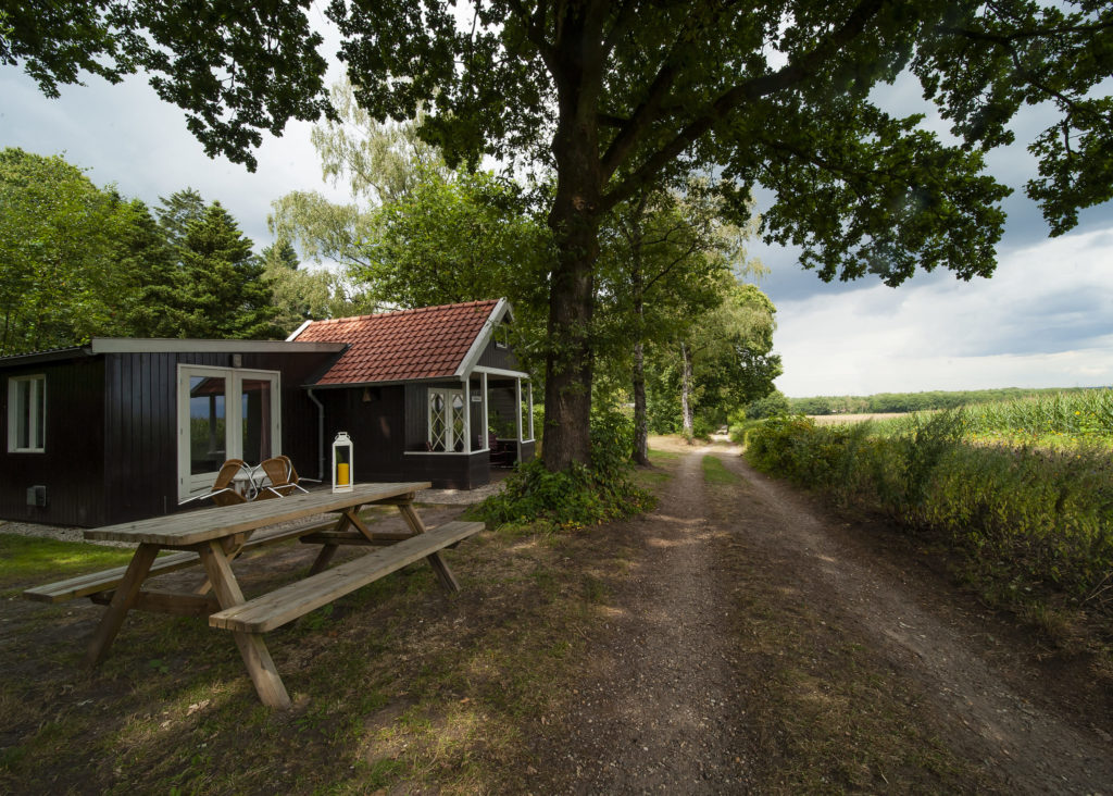 Landgoed De Leperkoen — photo 5
