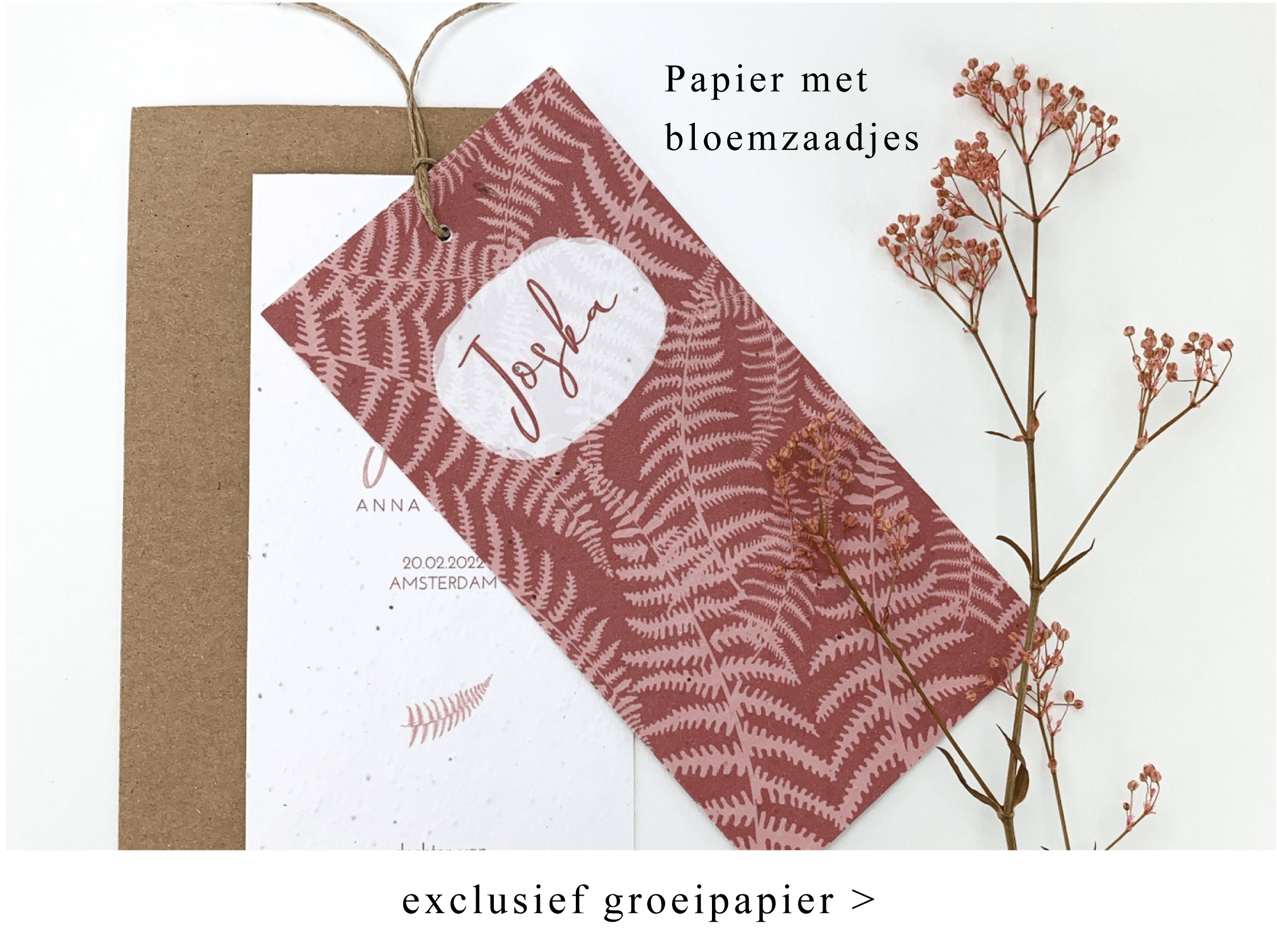 MOOI OOK — photo 3