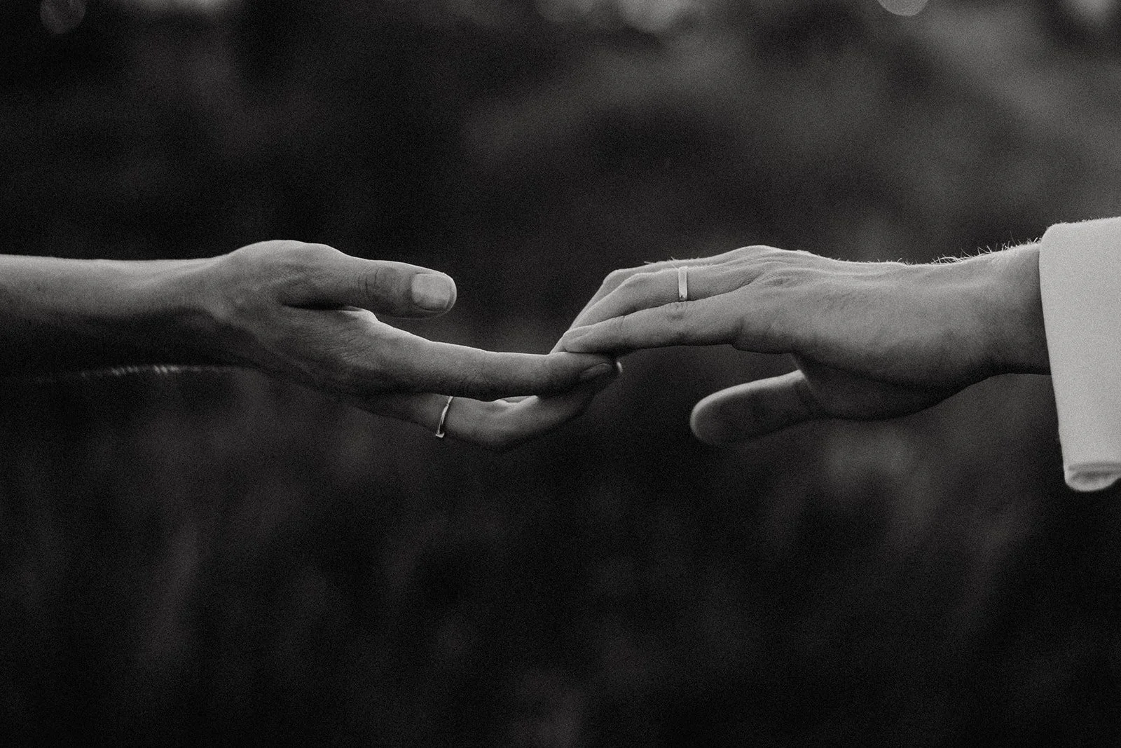 Roosmarijn Fotografie — photo 3