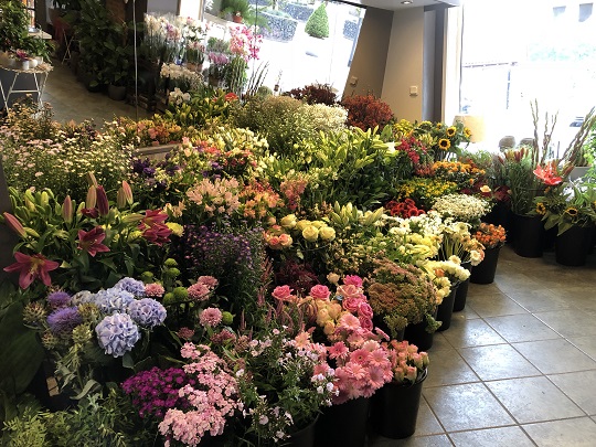 Bloemshop Nispen