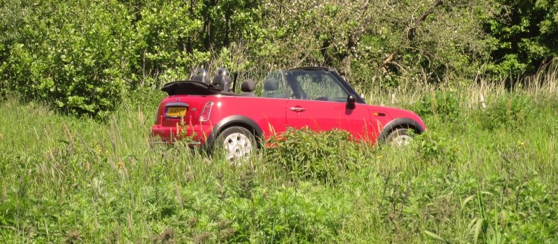 Driester Trouwauto's — photo 2
