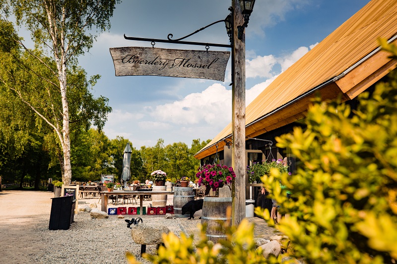 Boerderij Mossel — photo 5