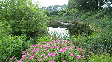 Fletcher Landhotel De Borken — photo 3