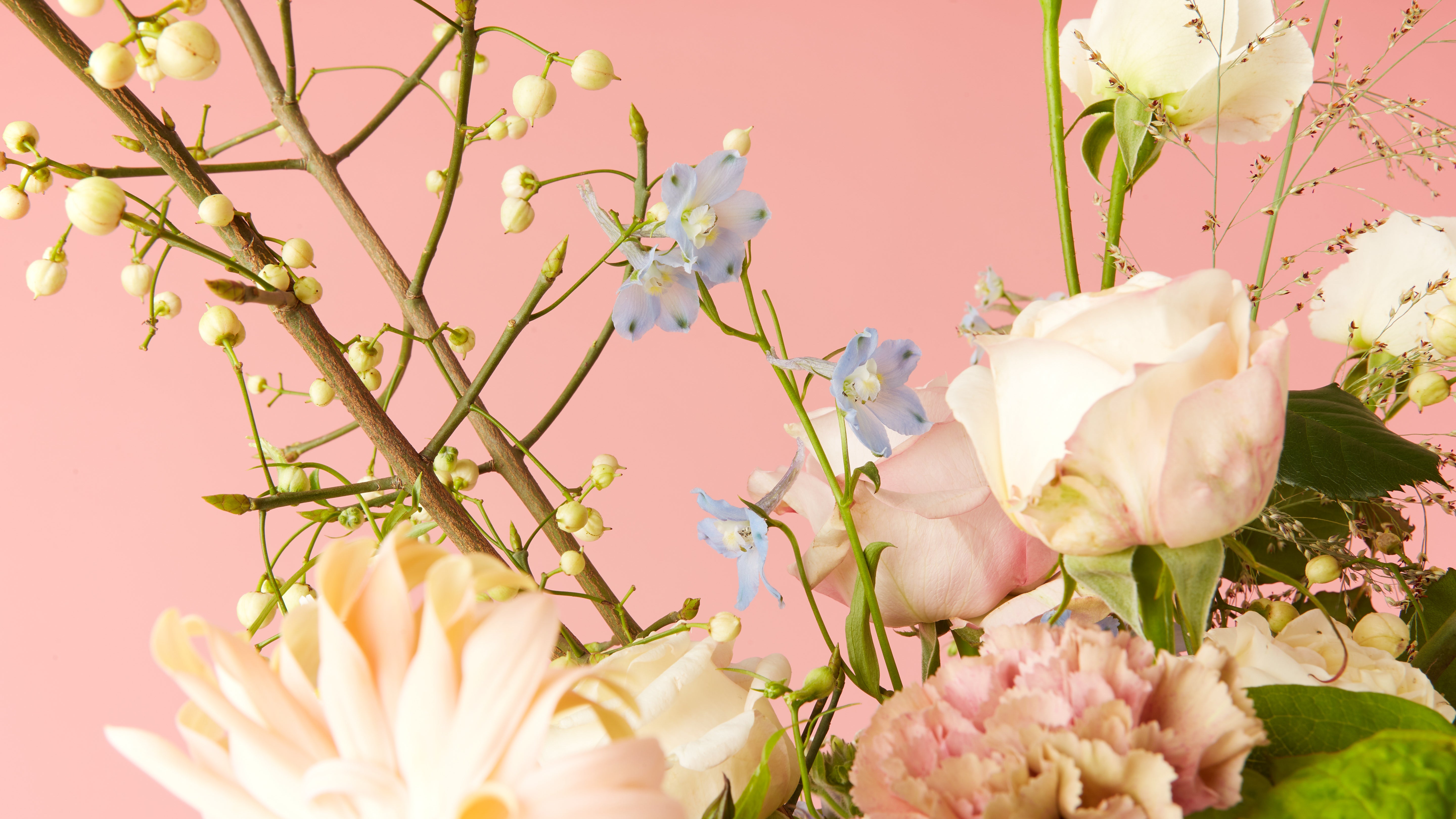 FlowerLovesMe