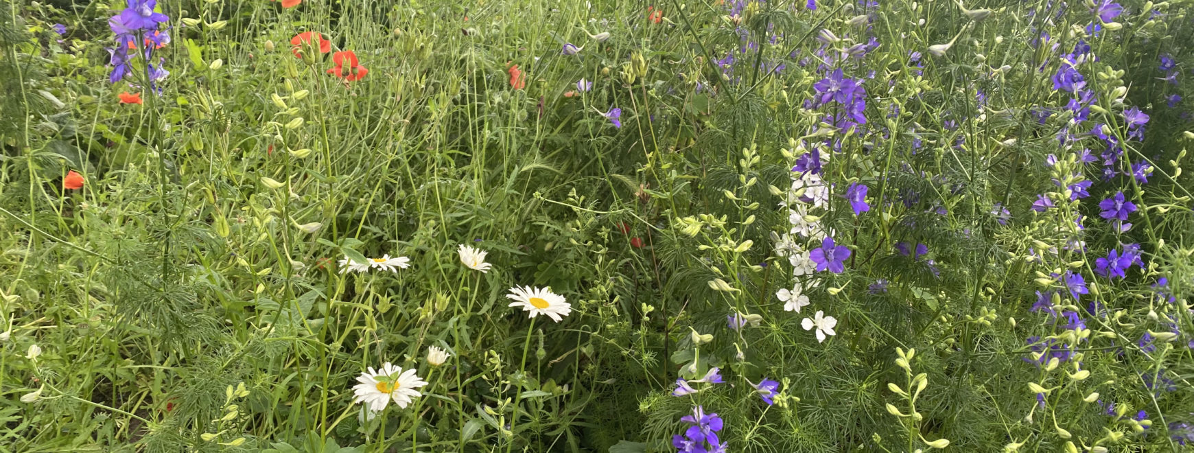 Buitenwerkplaats — photo 4