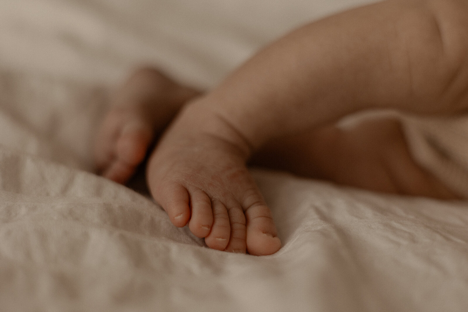 LuaLou Photography — photo 5