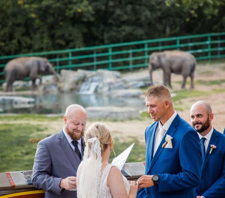 The Zoo Catering — photo 2