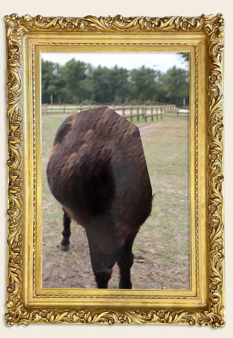 In den Bockenreyder