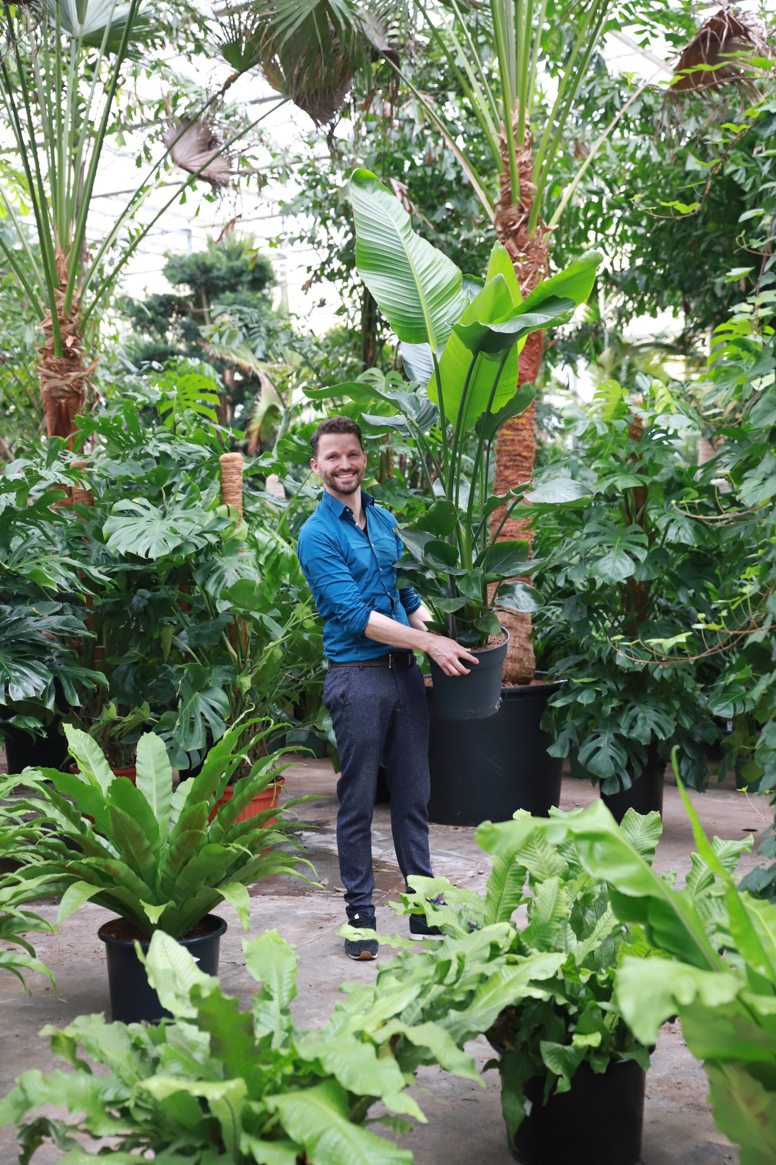 Bloem en styling Valentijn