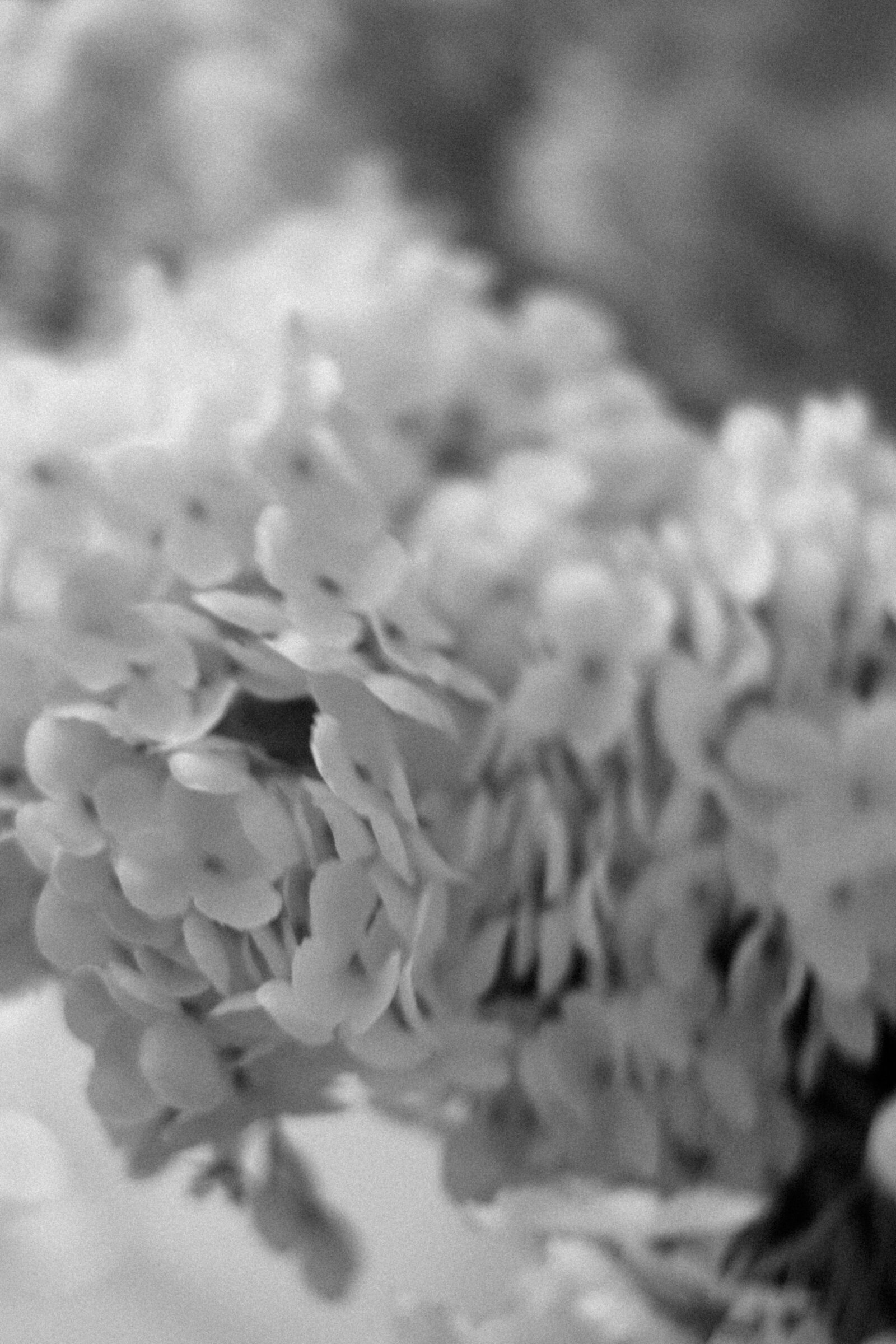 Marlou Photography — photo 2