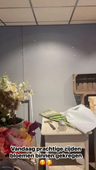 Bloem & Zo bij Ilse — photo 4