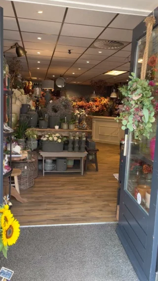 Bloem & Zo bij Ilse — photo 5