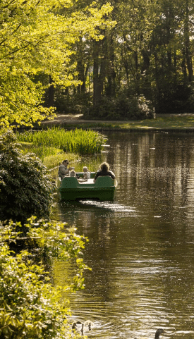De Helden van Kien — photo 4