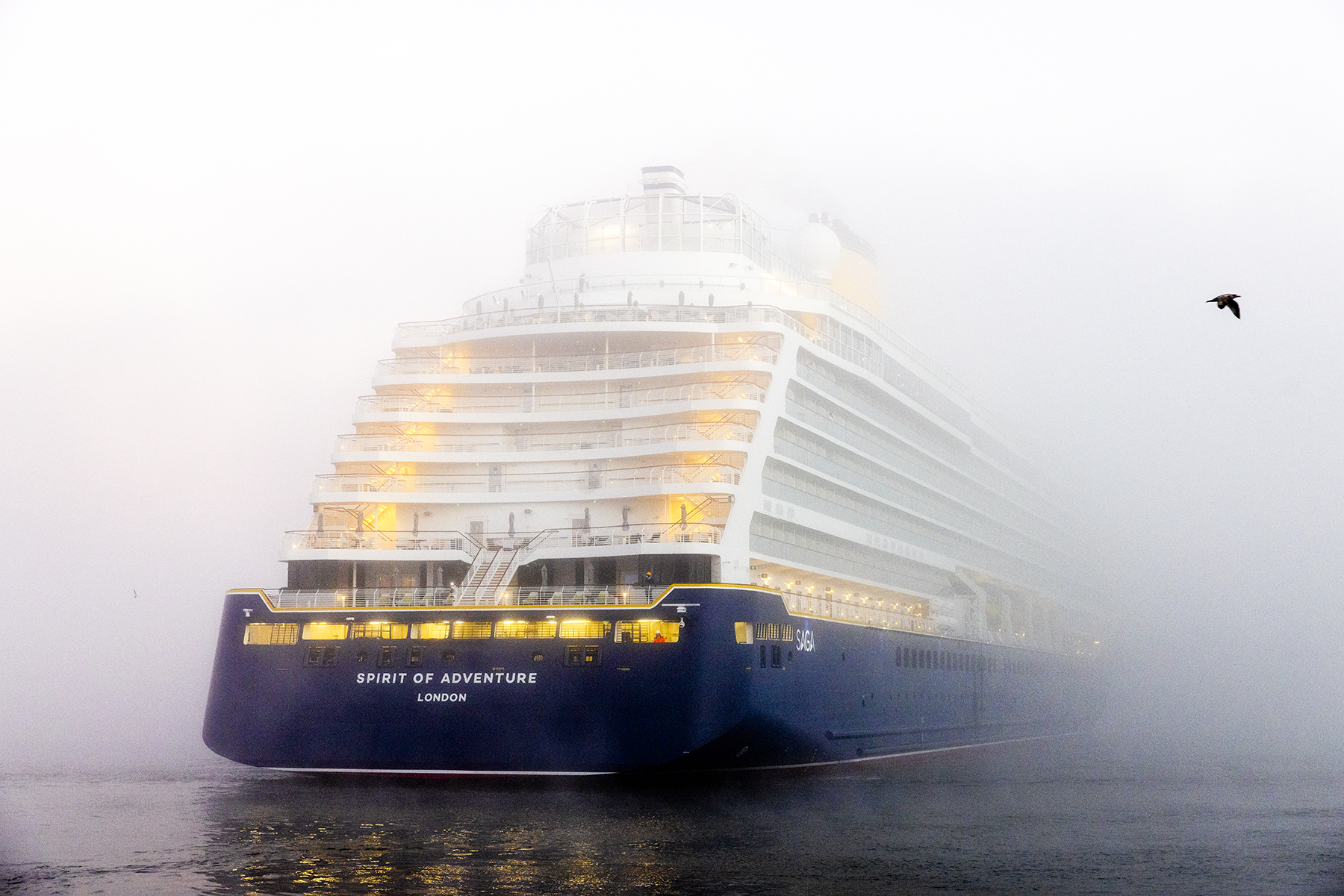 De Felison Terminal — photo 2