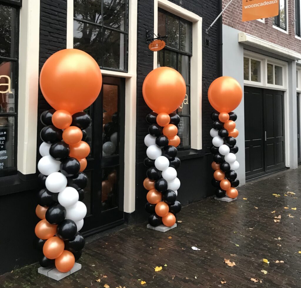 Ballonnen en Meer — photo 3