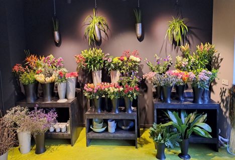 Bloemenhoek de Boterbloem — photo 4