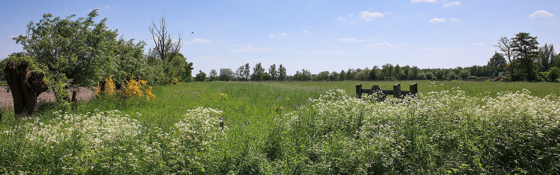 Gemeente Someren