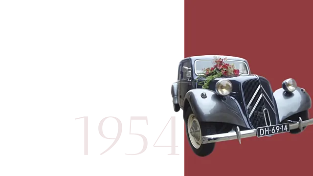 Citrodelies — photo 2