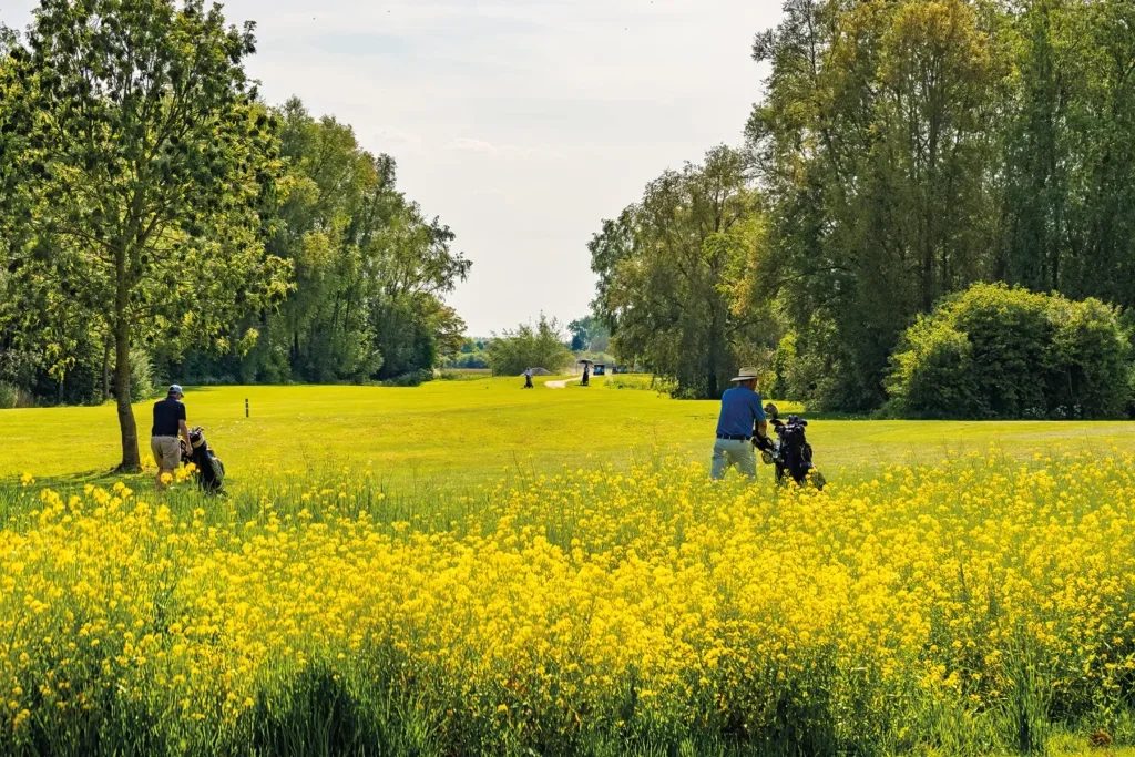 Almkreek — foto 2
